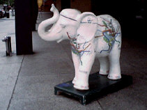 Elephant with Metrorail map on it